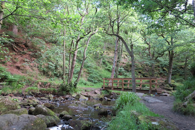 A woodland stream with large rocks in the bed and a small wooden footbridge.
