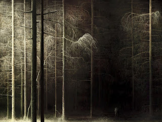 Dark Forest wallpaper