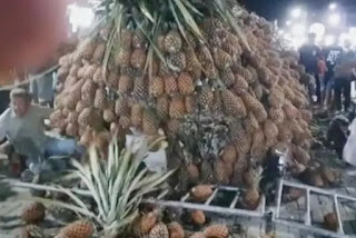 Escultura de abacaxi gigante desaba sobre público durante festa em Pernambuco