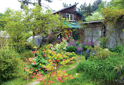 Permaculture Farm: A Food Forest Regeneration--Permaculture farm