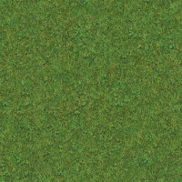 TERRAIN_PAINT_IP_EP10_CORAL_GRASS