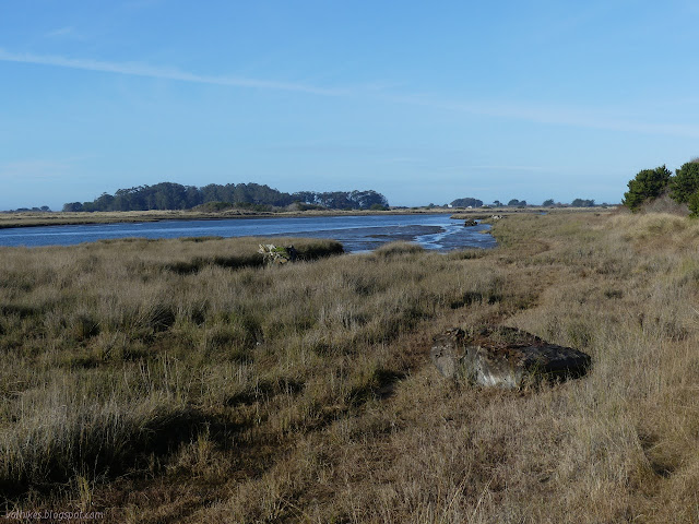 small arm of estuary