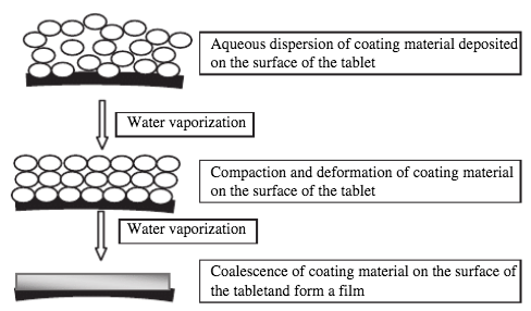 Mechanism of aqueous polymer film formation process