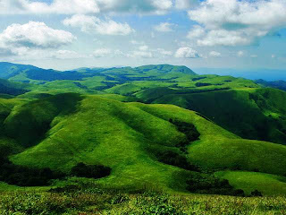 Coorg (Best Honeymoon Destinations In India) 3