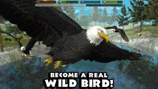 Game simulasi burung terbaik untuk android.