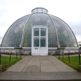 The Kew Gardens Palm House in January