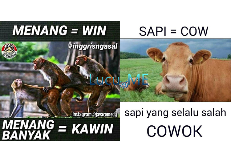 30 Meme "Inggris Ngasal" Dijamin Bikin Ketawa Sampai 