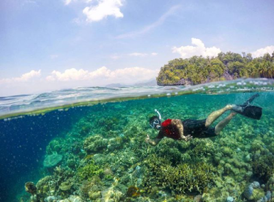 keindahan bawah laut pulau sombori