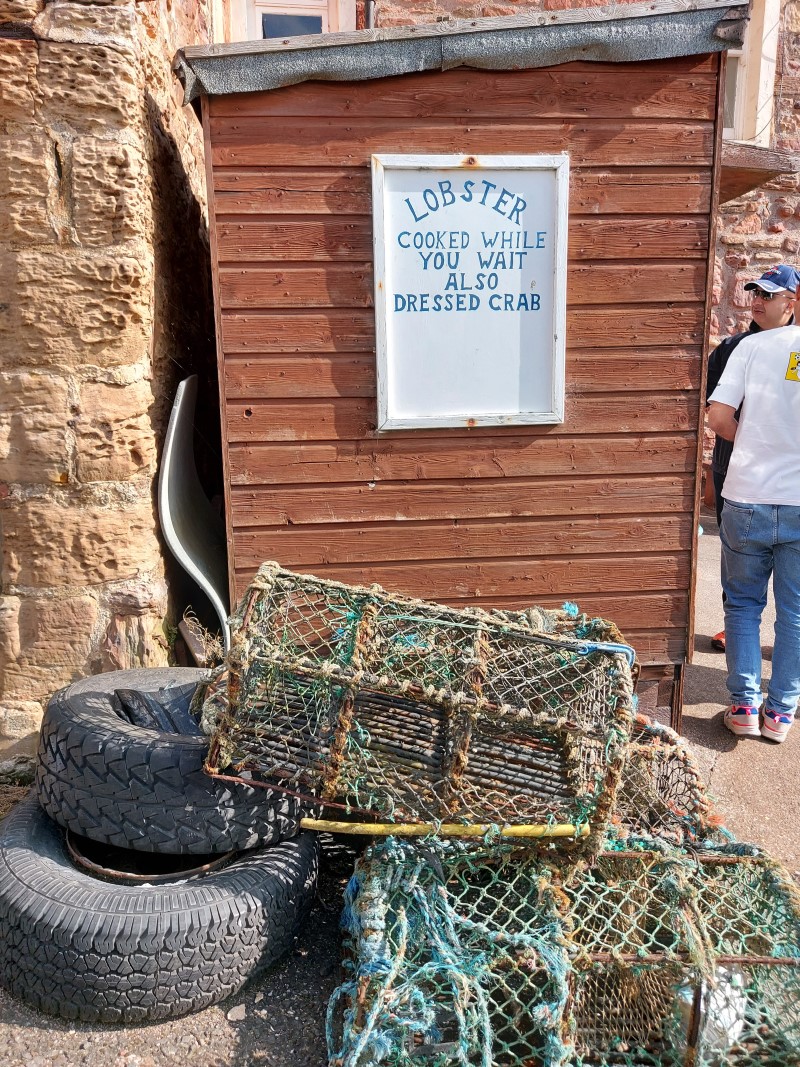 "Lobster cooked while you wait, also dressed crab" - sign on the Lobster Hut in Crail