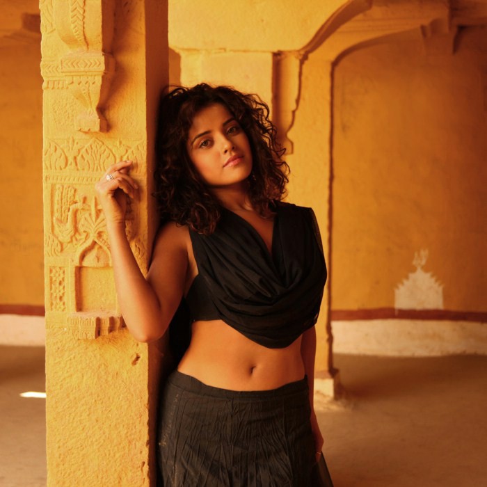 Piaa Bajpai Hot Photoshoot Stills hot photos