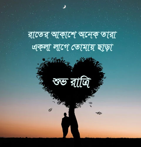 Good Night Pic Bangla