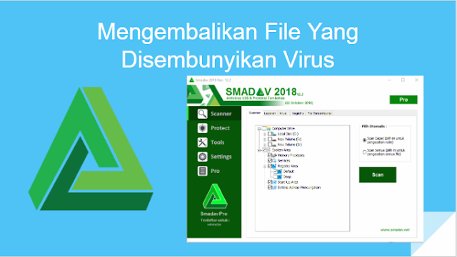 Cara Mudah Mengembalikan File Yang Disembunyikan Virus