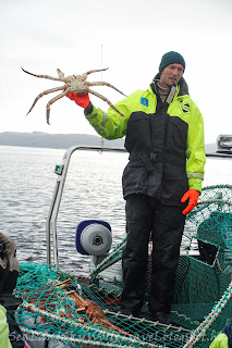 Kirkenes 挪威 King Crab Safari 皇帝蟹團