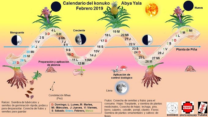 Calendario del KonuKo Abya Yala Febrero 2019.