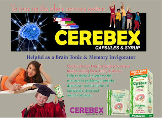 herbalsayurveda.com/anxiety-stress-depression-adaptogenic-cerebex-capsules.html