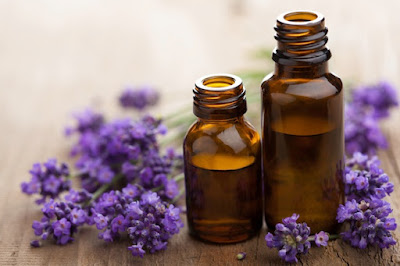 Khasiat dan Manfaat Essential Oil Lavender