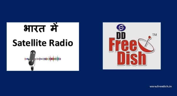 भारत में वाणिज्यिक रेडियो, इंटरनेट रेडियो, व्यावसायिक रेडियो, सामुदायिक और कम्युनिटी रेडियो के साथ साथ इंटरैक्टिव प्रसारण भी मिलता है। Satellite Radio