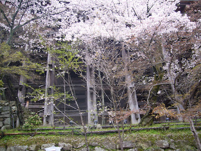 京都市・音羽山 清水寺のさくら