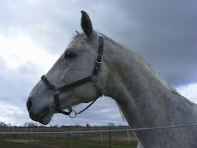 Photographed by Susan from Loire Valley Time Travel. https://tourtheloire.com