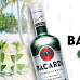 How To Drink Bacardi White Rum