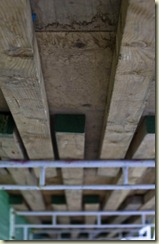 JB_20090612_0243