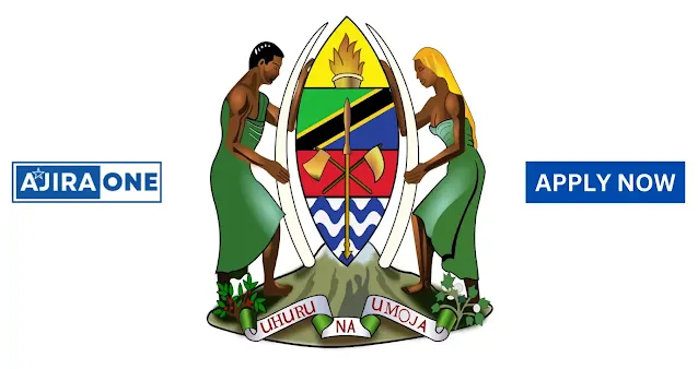 Essential Tips for Job Seekers in Tanzania