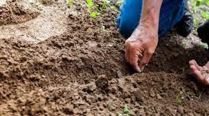 15 Unique Ways of Improving Crop Yield – Facts you Need to Know