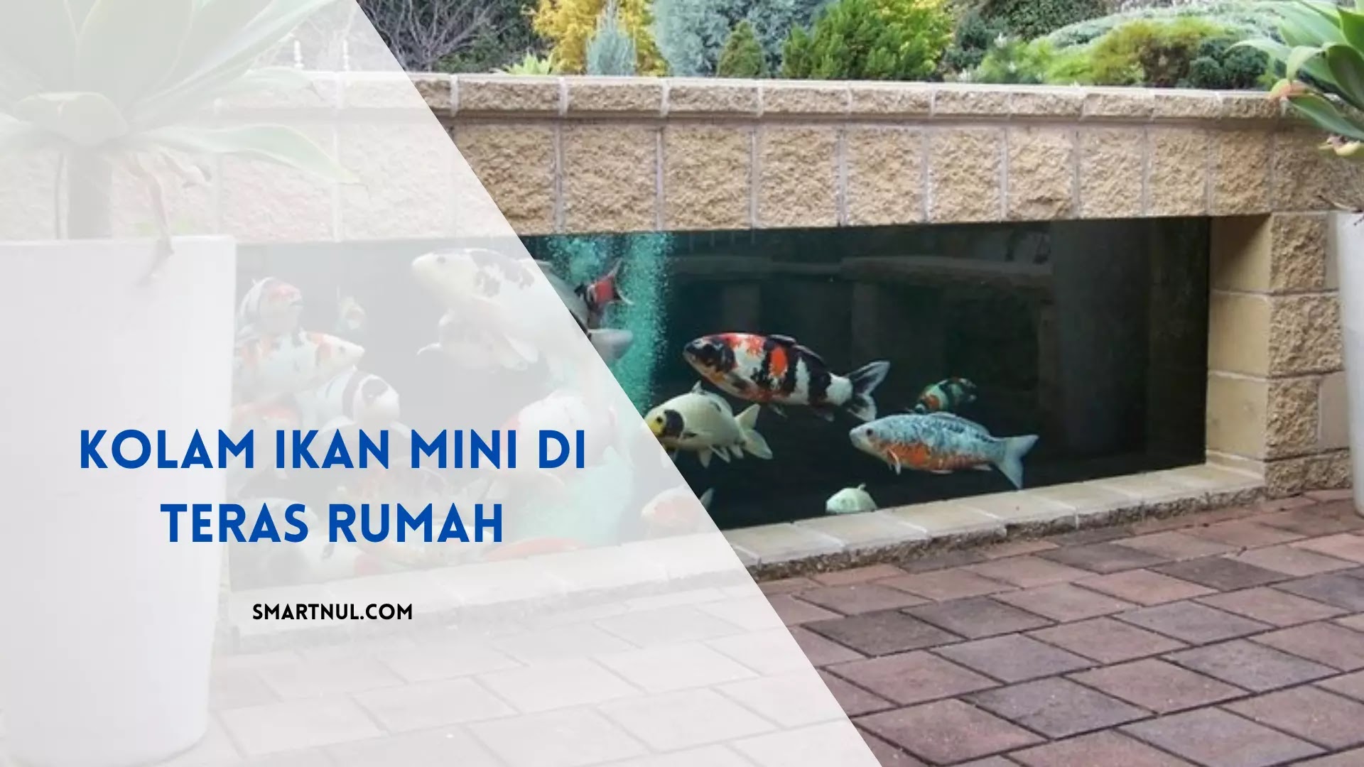 Kolam Ikan Mini di Teras Rumah