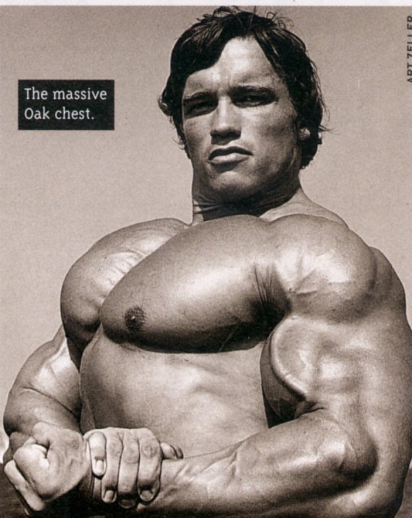 Body Builders: Arnold Schwarzenegger Pictures And Bio