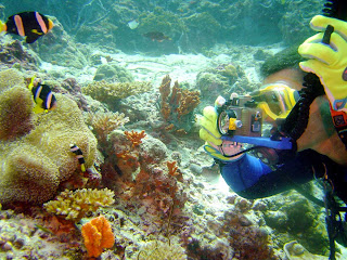 koh samui diving