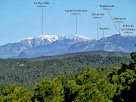 La Tosa d'Alp, el Puigllançada i el Catllaràs des del Bosc de Coromines