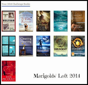 Goodreads challenge read books