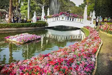 Flowers in profusion during Chiang Mai Flower Festival in Suan Buak Haad Park