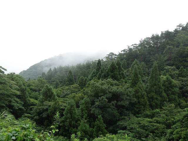 鳥取県道299号赤松淀江線　鳥取県西伯郡大山町今在家