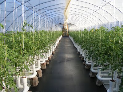 greenhouse technology