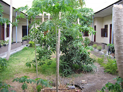 KOMUNITAS MBAY