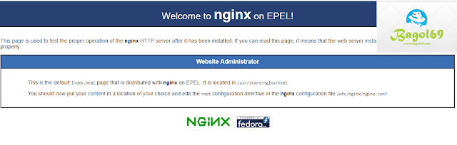 Install  Ngninx Centos 
