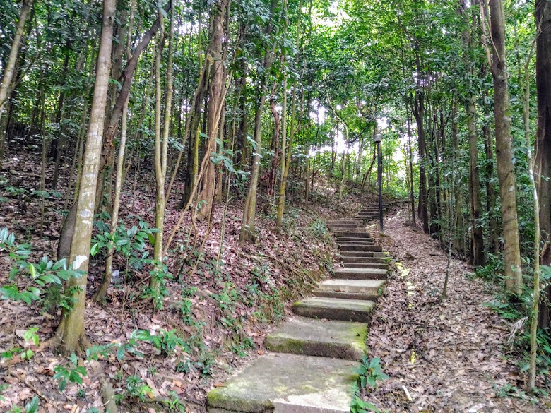 花柏山公園小徑