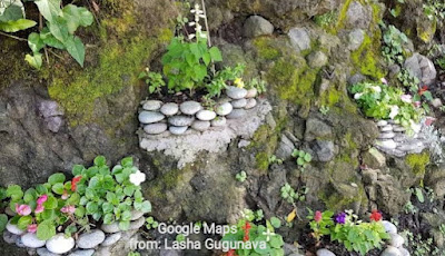 أحجار صغيرة وزهور جميلة في الشلال