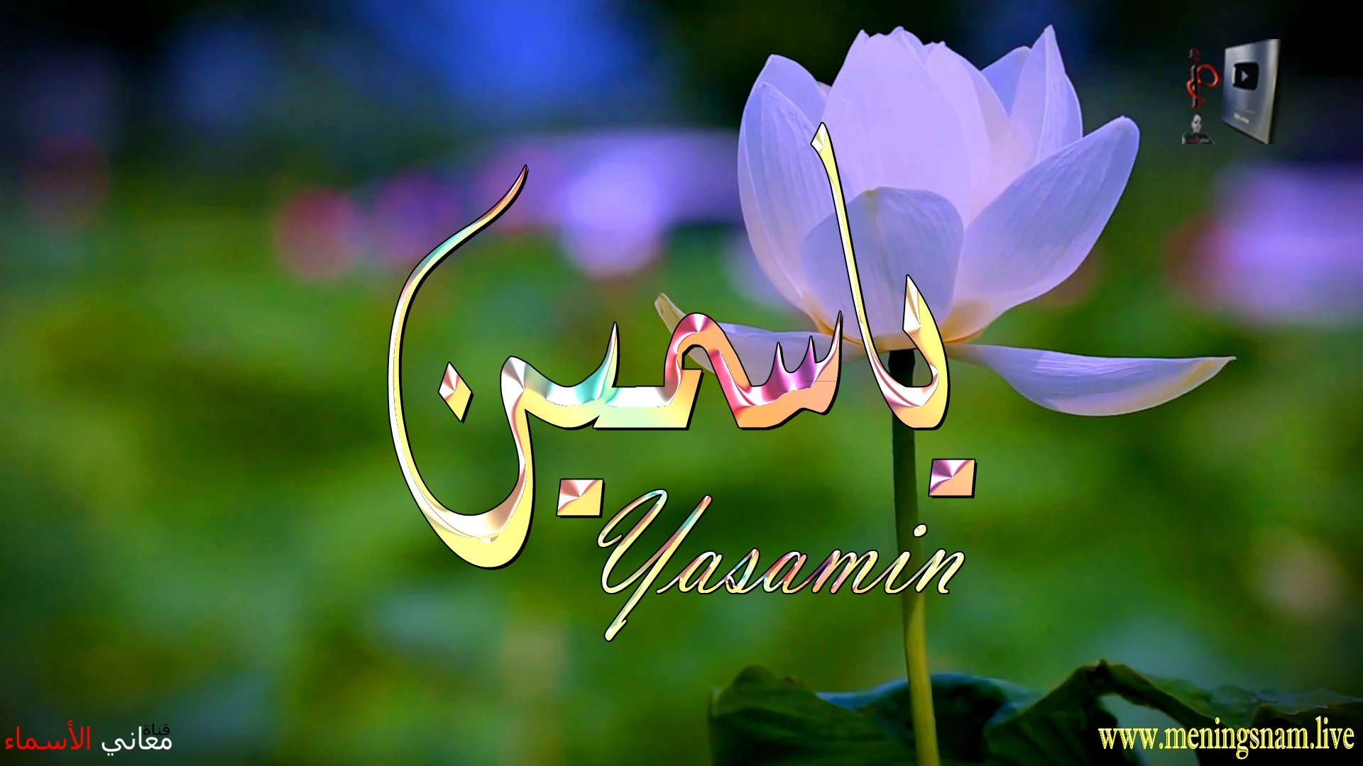 معنى اسم, ياسمين, وصفات, حاملة, هذا الاسم, Yasamin,