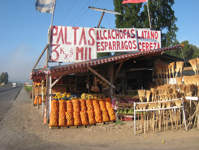 Roadside Fruit Stand