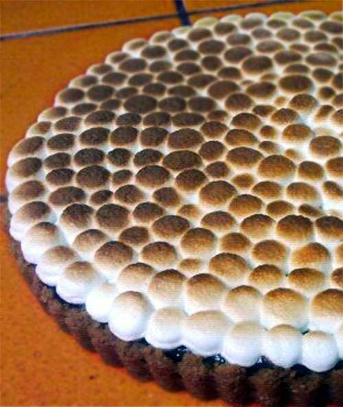 Chocolate Peanut Butter Smores Tart