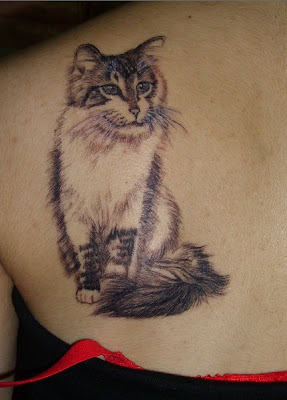cat tattoo design, shoulder tattoo