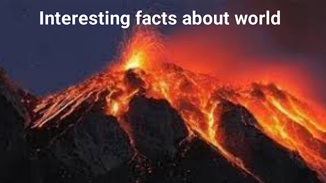 Interesting facts