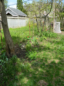 Toronto Riverdale Spring Cleanup Backyard Garden Before by Paul Jung Gardening Services--a Toronto Gardening Company