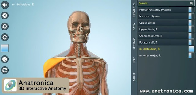 Anatomy 3D Pro - Anatronica v2.0.1