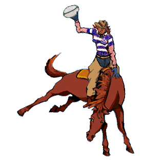 cowboys (40)