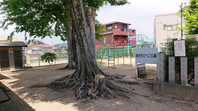 碓井八坂神社(羽曳野市)