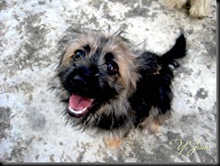 IMG_1455 IMG_1455