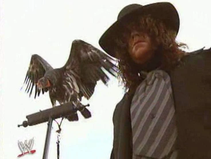 WWE / WWF WRESTLEMANIA 9: An iconic shot of The Undertaker at Wrestlemania